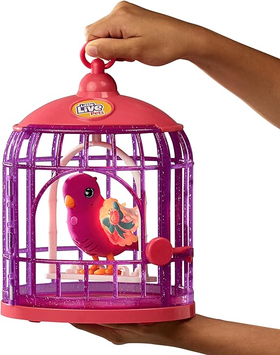 Live pet hot sale bird cage