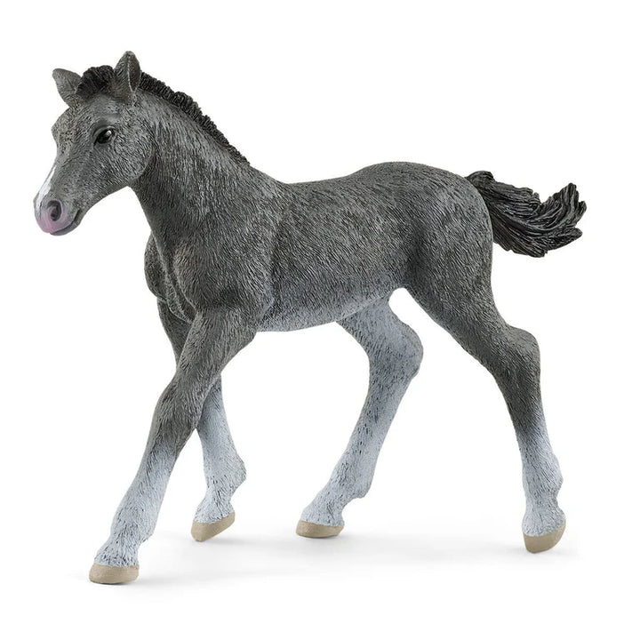 Trakehner Foal - Schleich