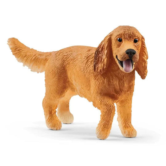 English Cocker Spaniel - Schliech