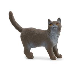 British Shorthair Cat - Schleich