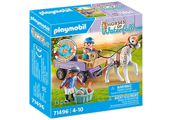 Pony Carriage - Playmobil Horses of Waterfall