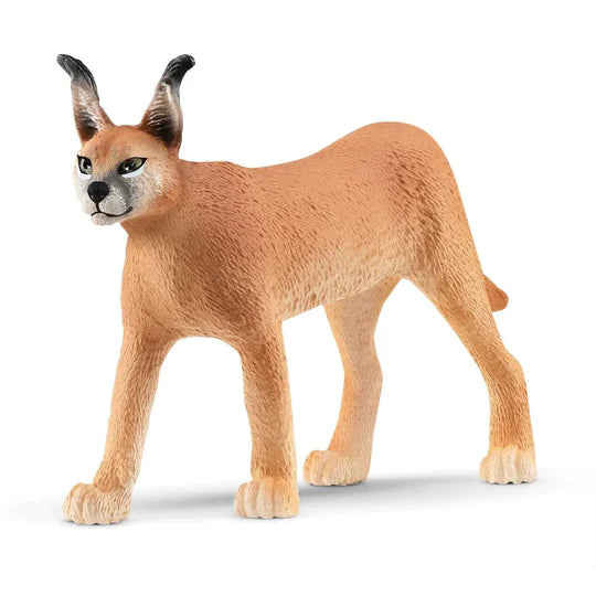 Caracal Female - Schleich