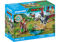 Observatory for Dimorphodon - Playmobil Dinos