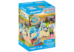 Horse Therapist - Playmobil Horses of Waterfall